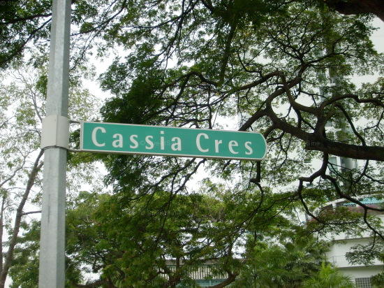 Blk 52B Cassia Crescent (S)392052 #98922